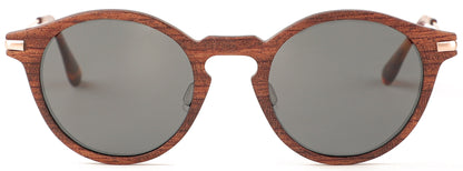 WS001S