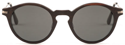WS001S