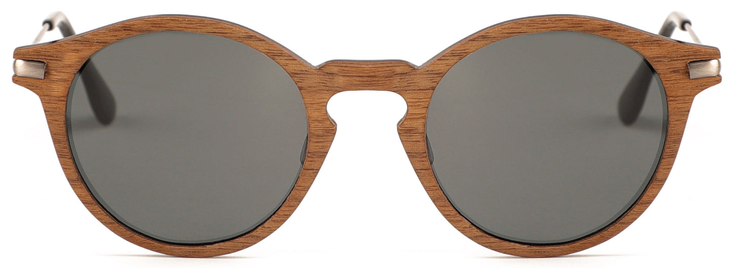 WS001S