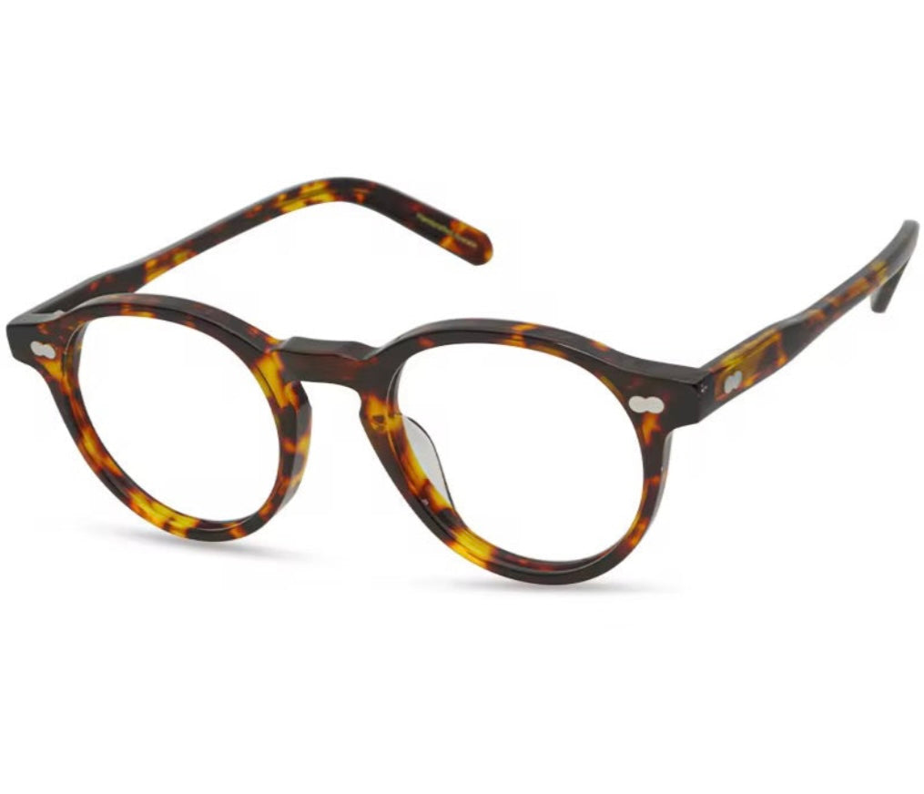 9553 with polarized sun clip
