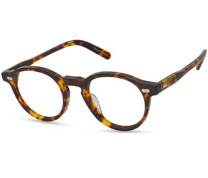 9553 with polarized sun clip